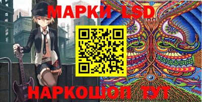 стафф Будённовск