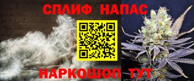 стафф Будённовск