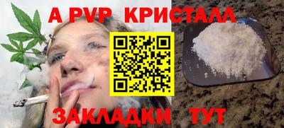 стафф Будённовск